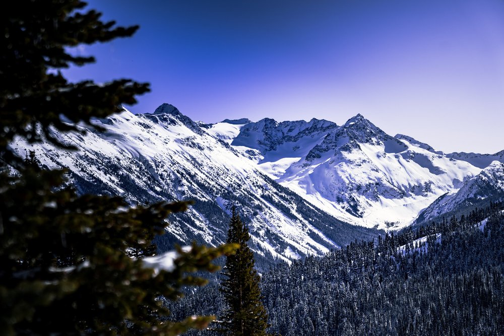 Snow-covered mountain range under a clear blue sky with some tree branches in the foreground.